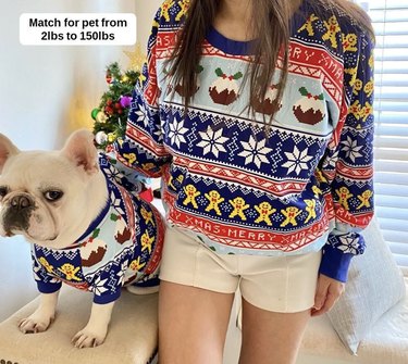 Woman and French bulldog in matching ugly Christmas sweaters with stars, fruitcakes, gingerbread men, and "Merry Xmas."