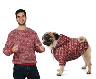 Guy in red crewneck holiday sweater and pug in matching hoodie with drawstrings and a zipper.
