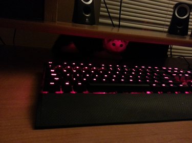 cat hiding behind keyboard with a red glow