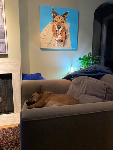 Dog sleeping on chair underneath a dog painting