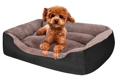 PUPPBUDD Pet Dog Bed
