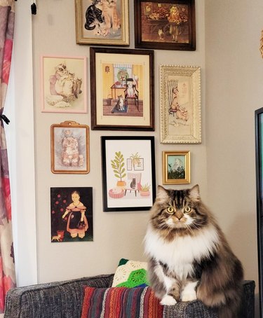 cat poses in front of cat art