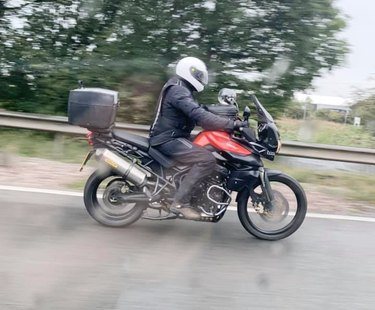 small dog on motorcycle