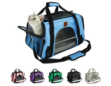 Purrpy Airline-Approved Collapsible Pet Carrier