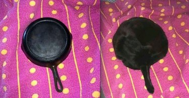 Black cat sleeps curled up with one paw extended, matching the silhouette of a cast iron skillet.