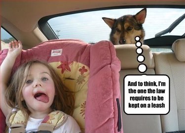 Dog judging little girl in backseat of car.