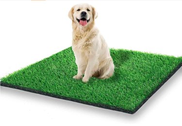 STARROAD-TIM Artificial Grass Turf Dog Potty Training Pad