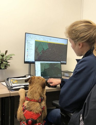 dog sitting next to a woman in front of a computer.