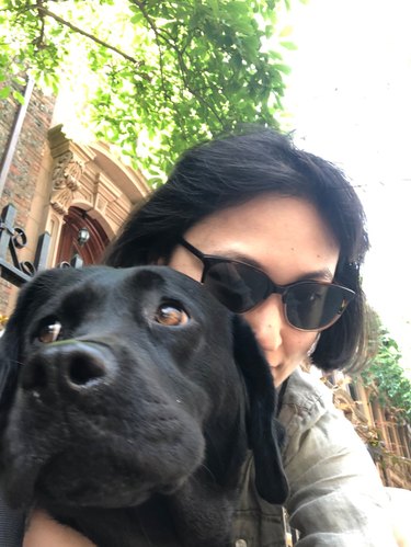 dog embarrassed by selfie with human