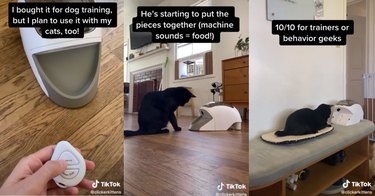 Stills from a TikTok video review oof the  PetSafe Treat & Train.