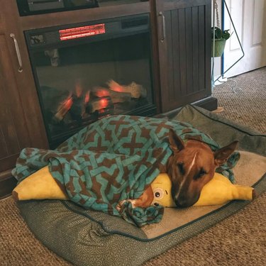 dog sleeping with stuffed banana by a fireplace.