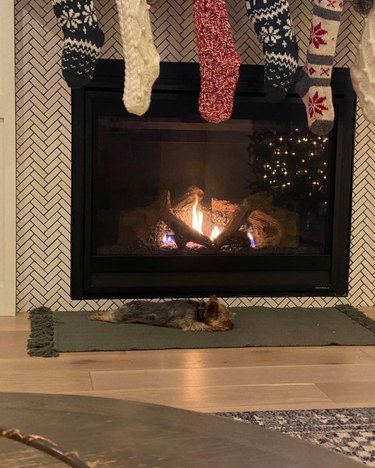 dog sleeping next to fireplace under christmas stockings.