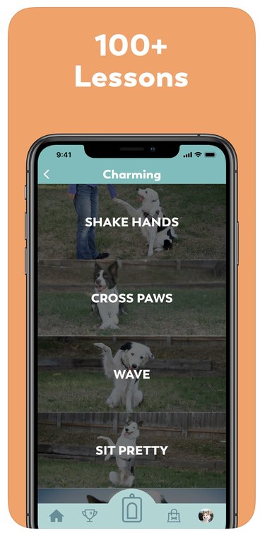 Puppr app screenshot that has a list of over one hundred training lessons for dogs.
