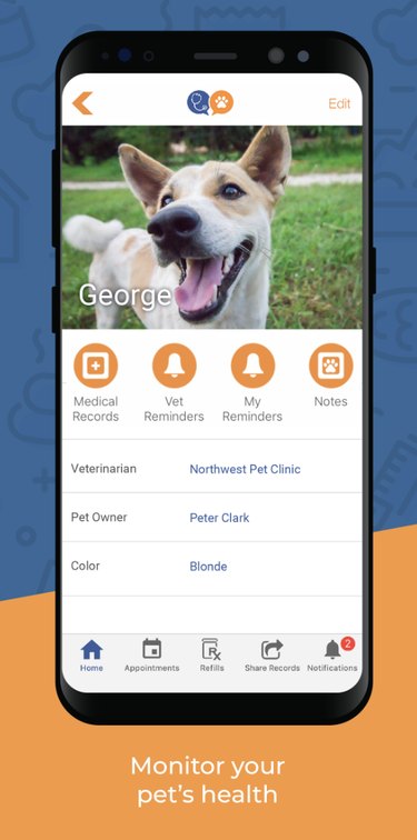Vitas Vet app screenshot of health profile of a dog named George.