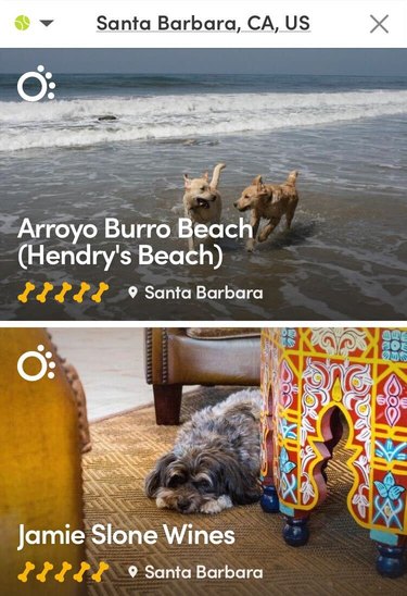 Screenshot of the app BringFido with two searches for pet-friendly locations in Santa Barbara, CA.