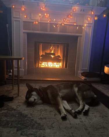 dog sleeping next to fireplace.