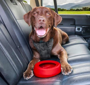Kurgo Splash-Free, No-Spill Dog Travel Bowl
