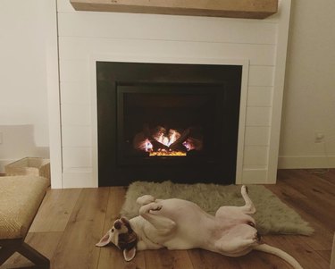 Happy dog sleeping on their back next to a fireplace.