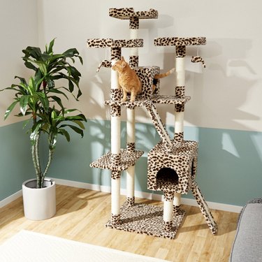 cheetah print cat tree and condo