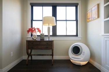 Smarty Pear Leo's self-cleaning litter box in corner of room.