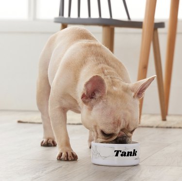 personalized dog bowl