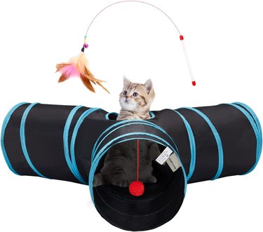 Black cat tunnel with blue trim, a dangling pom pom, and a wand toy with a feather on it.