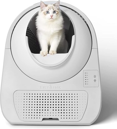 White cat coming out of an off-white self-cleaning litter box with a circular opening and a removeable waste pan.