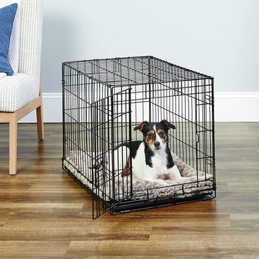 Small dog in a wire, collapsible crate.