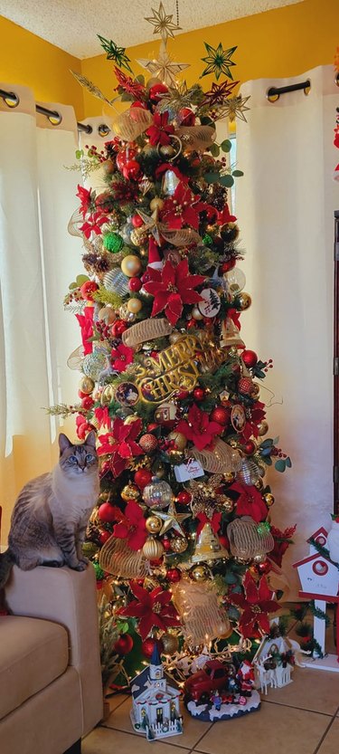 cat posing next to christmas tree filled with ornaments.
