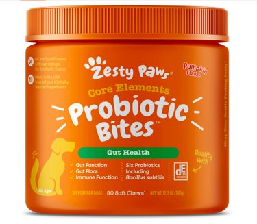 Orange container of Zesty Paws Probiotic Bites for Dogs (90 or 250 Count)