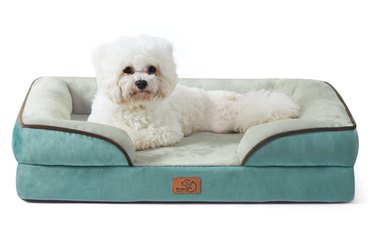 Bedsure Orthopedic Dog Bed for Medium- to Large-Sized Dogs
