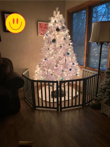 woman puts gate around Christmas tree.