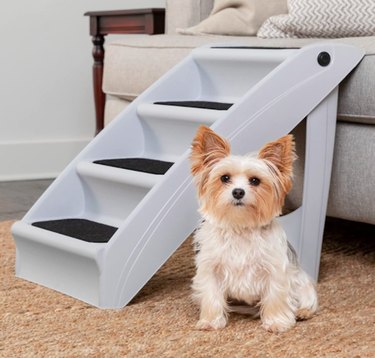 PetSafe CozyUp Folding Pet Steps for High Beds & Couches, with small dog in front.