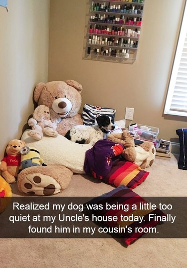 dog hides in a pile of stuffed animals