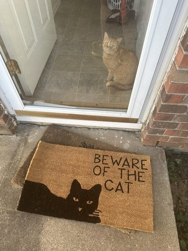 orange cat in front of doormat that says "beware of the cat".