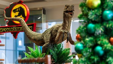 velociraptor looks like cat intent on destroying christmas tree.