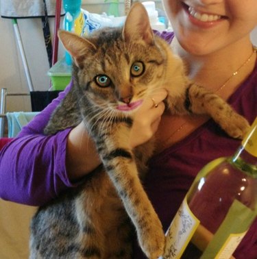 Cat with wine wearing makeup