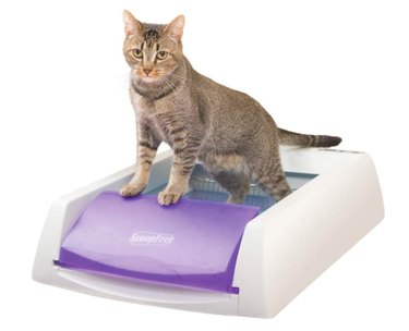 PetSafe ScoopFree Automatic Self-Cleaning Cat Litter Box (Uncovered)