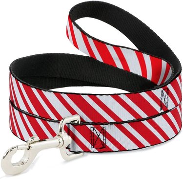 Red and white candy cane-striped dog leash with chrome hardware and a black leash underside.