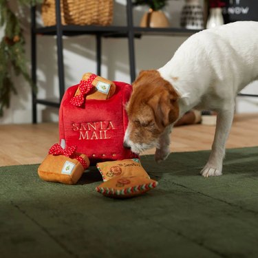 Dog playing with interactive hide-and-seek toy that looks like a Santa mailbox and letters to Santa.