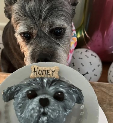 a dog sniffing a cake made in its likeness.