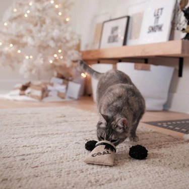 Gray cat playing with bag of 'coal' that contains two fuzzy lumps of fake coal.