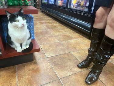 tuxedo cat next to person in black boots.