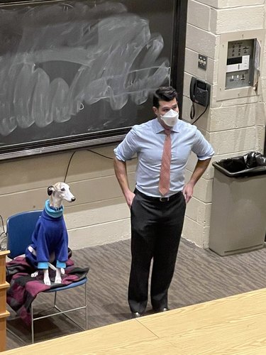 greyhound in a blue sweater and sitting on a blanket gives lecture to a class next to the professor.