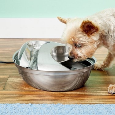 stainless steel pet fountain