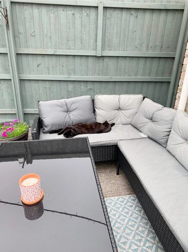 black cat sleeping on outdoor couch.