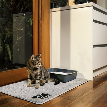 jumbo size cat litter mat