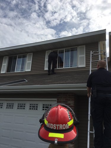 Fire fighters help dog get off roof