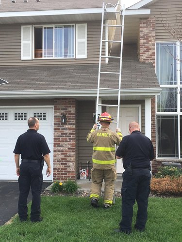Fire fighters help dog get off roof