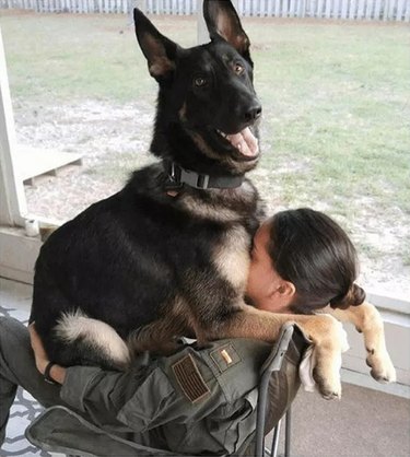 big dog doesn't realize he isn't a lap dog anymore